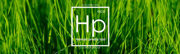 Hernan Prada Hair 